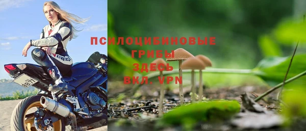 Альфа ПВП Абаза