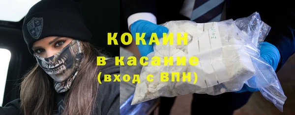 PSILOCYBIN Алзамай