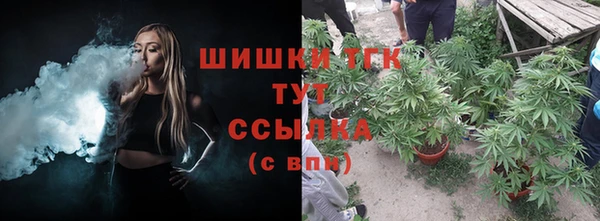 Альфа ПВП Абаза
