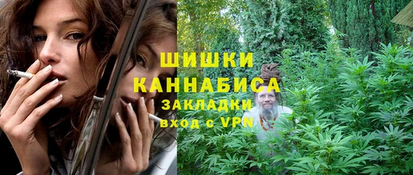 PSILOCYBIN Алзамай