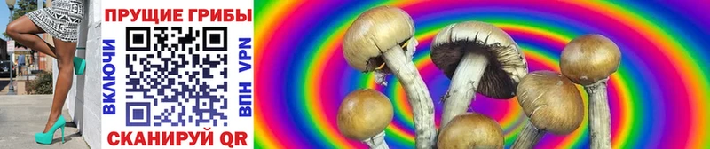 Псилоцибиновые грибы ЛСД Лебедянь